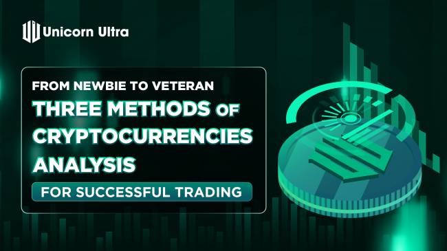 From newbie to veteran: Three methods of Cryptocurrency Analysis for successful trading