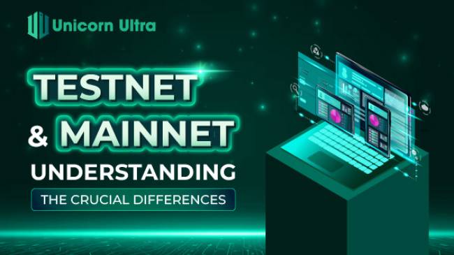 Testnet and Mainnet - Understanding the Crucial Differences