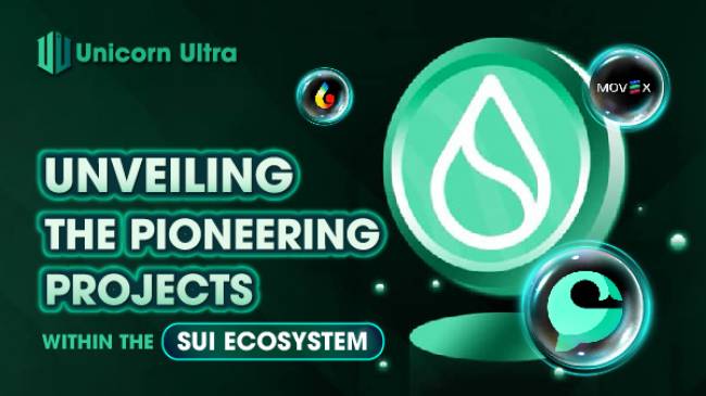 Unveiling Top Projects on the Sui Ecosystem - Empowering Decentralized Finance