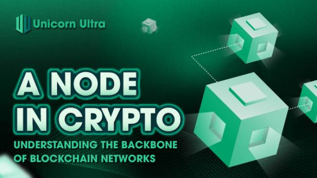 What is a node in crypto? Understanding the backbone of blockchain networks