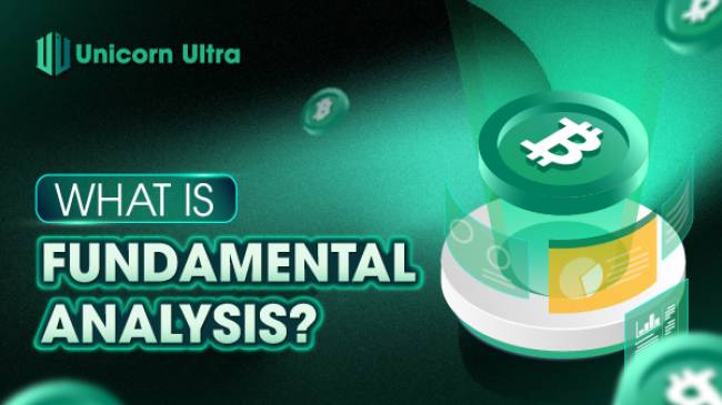 What Is Fundamental Analysis? A Comprehensive Guide to Understanding the Basics