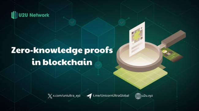 Zero Knowledge Proofs in Blockchain